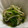 にゃつめ〜's cooksnap of when they made 豆苗とえのきポン酢和え.