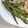 かわゆう1211's cooksnap of when they made インゲン豆のオーブン焼.