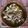 柏木_達貴's cooksnap of when they made 味噌で炒めて☆おいしい豚汁.