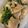 mipunya's cooksnap of when they made 鶏とほうれん草のオニオンソテー.