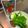 ゆかりんご117♪'s cooksnap of when they made 冷やしパリパリピーマン.
