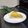 からあげパーティー's cooksnap of when they made ノンエッグノンオイル☆おからタルト生地.
