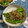 ankotetu's cooksnap of when they made ３分♪シシトウと上乾ちりめん甘辛炒め.