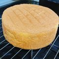 meguu2's cooksnap of when they made スポンジケーキ＊絶対失敗しない完全攻略法.