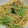 miichan46☆'s cooksnap of when they made しらすとキャベツの和風パスタ.
