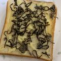 クック8SSYN0☆'s cooksnap of when they made 塩コンブとマヨチーズのトースト.
