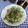 ととろ＆めい's cooksnap of when they made 香味野菜の和風サラダ（梅味ドレ）.