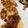 mantacarp's cooksnap of when they made 新玉ねぎと竹輪のチーズ焼き.