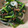 クックK3DI0Y's cooksnap of when they made ほうれん草としめじのモズク和え.