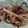 monjimari's cooksnap of when they made みょうがの茎の塩昆布和え.