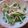 crr611's cooksnap of when they made ☺水菜と大根のお手軽サラダ☺.