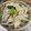 ミアンミアン's cooksnap of when they made 白菜と豚こまの煮物♪すぐできてお得♪.