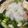 パイセンちゃん's cooksnap of when they made 市販のつゆ不要！簡単みぞれ鍋.