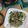 よちりん's cooksnap of when they made 節約✻簡単 もやしの生姜マヨ醤油炒め.