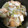 まん丸みかリン's cooksnap of when they made ルクルーゼで白菜ツナ厚揚げの煮浸し♡.