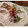 ダッフィーニーうに's cooksnap of when they made うちの味☆調味料要らず❣刺身の海苔佃和え.