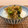 horseland's cooksnap of when they made 簡単#ご飯にちりめん山椒と漬物.