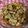 クックDKRHB6☆'s cooksnap of when they made 納豆麹.