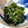 あいべりー's cooksnap of when they made 塩蔵わかめのおいしい戻し方.