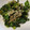 MAXA！'s cooksnap of when they made ケールとしらすのサッと炒め.
