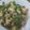 ささささ＆＊'s cooksnap of when they made 青椒肉絲.