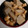ミッキー's cooksnap of when they made 簡単 里芋とイカの煮物.
