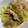ズボラミーコ's cooksnap of when they made 豚こまとキャベツの旨塩炒め.