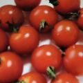 ゆま's cooksnap of when they made トマトを丸かじり(^_-).