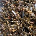みえ2's cooksnap of when they made 捨てないで～！だし昆布と鰹節で佃煮.