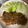 しょうたくやママ's cooksnap of when they made ☆とんかつ用肉で玉ねぎソースの生姜焼き☆.