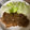 しょうたくやママ's cooksnap of when they made ☆とんかつ用肉で玉ねぎソースの生姜焼き☆.