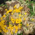 ●★▼'s cooksnap of when they made 簡単！牛肉×水菜でペッパーランチ風ごはん.