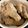 とっとっ豚's cooksnap of when they made 【下味冷凍】手羽元の甘辛煮.