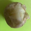 チェックのミニくま's cooksnap of when they made 裏技バンザイ！じゃがいもを十字に切る.