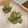 クックK20TFJ☆'s cooksnap of when they made サクサク美味しいゴーヤの天ぷら♪.
