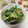 クックE662AA☆'s cooksnap of when they made きゅうりと茎みょうがのさっぱり大葉和え.