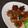 WOODs´'s cooksnap of when they made 揚げ焼きで簡単★ちくわの磯辺揚げ.