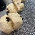 mamechii's cooksnap of when they made お豆腐パン♪手捏ね３分パン.