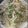 KAORU4649's cooksnap of when they made 簡単！豚もやしあんかけ焼きそば.