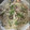 KAORU4649's cooksnap of when they made 簡単！豚もやしあんかけ焼きそば.