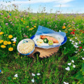 ☆なあなクック☆'s cooksnap of when they made すだちの飾り切り～花切り♪.