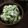 かわゆう1211's cooksnap of when they made ゴーヤーの白和え.