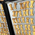 カエルオタッキー's cooksnap of when they made [犬用]さつまいもクッキー.