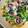 クック☆やーっ！'s cooksnap of when they made 豆苗と豚肉のゴマ油炒め.