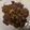 ellie21's cooksnap of when they made 牛肉のオイスターソース炒め.