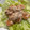クック2H9MD0☆'s cooksnap of when they made 簡単♪海老マヨネーズ（揚げない）.