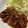 クック2H9MD0☆'s cooksnap of when they made 超簡単！濃厚！四日市トンテキ風！！.
