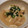 さよまさ's cooksnap of when they made 風邪を引いたら◉超簡単！鶏のじぶ煮.