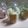 クック52682E☆'s cooksnap of when they made ✽ストロベリースノーボール✽.