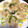 御伽衆ぱすた's cooksnap of when they made ✿はんぺんと蓮根のもちシャキ焼き✿.